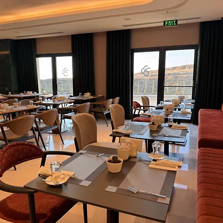 Park Dedeman Konya 酒店