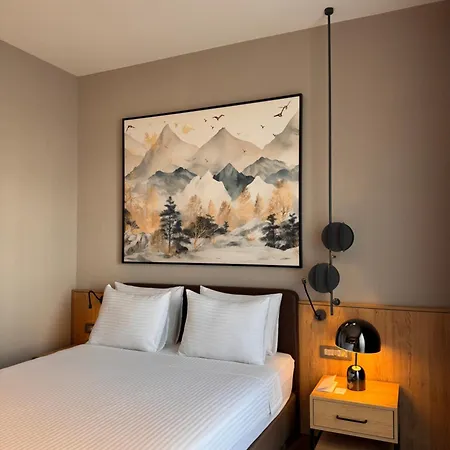 Park Dedeman Konya 酒店