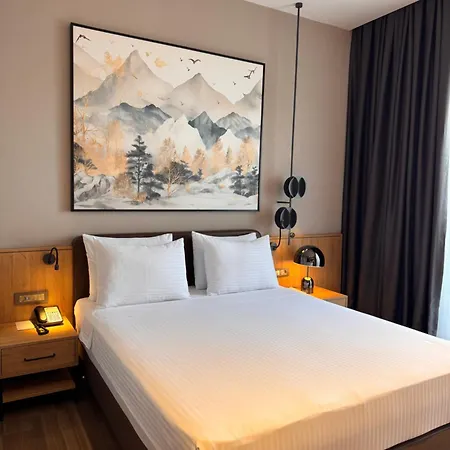 Park Dedeman Konya 酒店 科尼亚