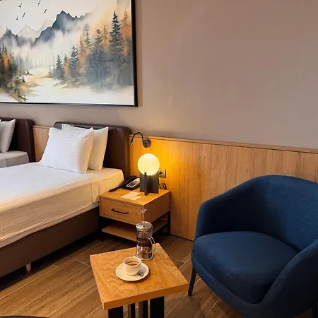 酒店 Park Dedeman Konya