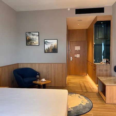 Park Dedeman Konya 酒店