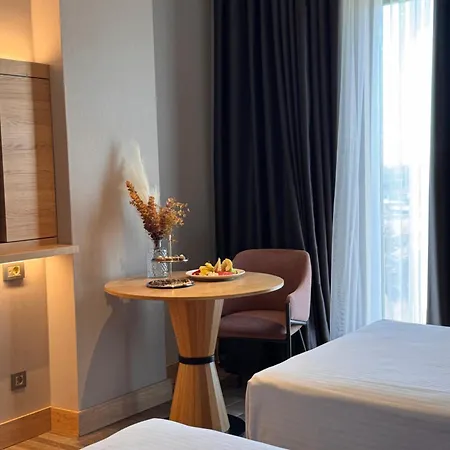 Park Dedeman Konya 酒店