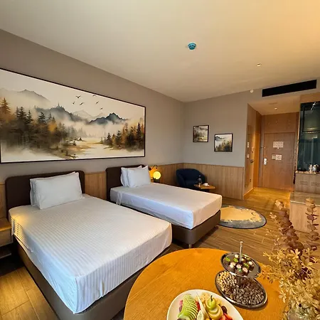 Park Dedeman Konya 酒店