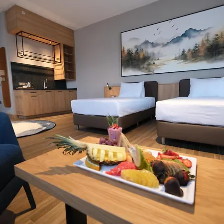 酒店 Park Dedeman Konya 科尼亚