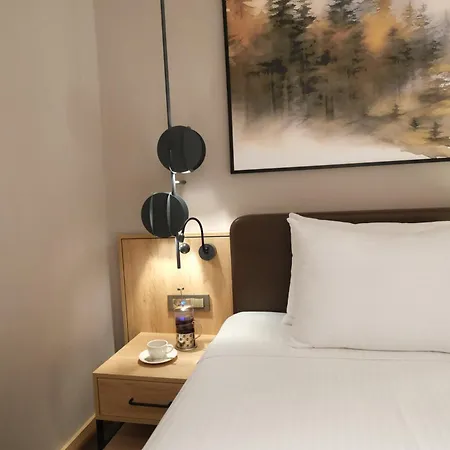 Park Dedeman Konya * 科尼亚